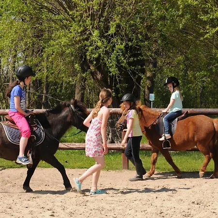 Camping De Meibeek